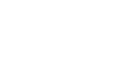 Conheça o Diesel Petrobras Grid